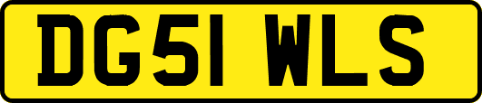 DG51WLS