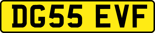 DG55EVF