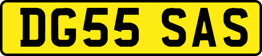 DG55SAS