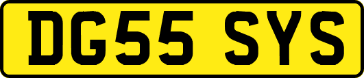 DG55SYS