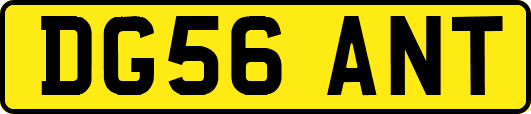 DG56ANT