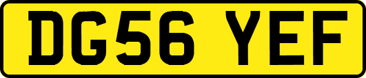 DG56YEF