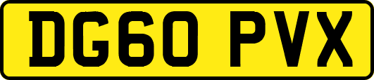 DG60PVX