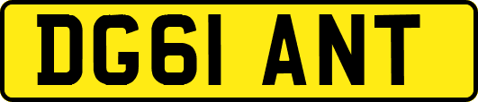 DG61ANT