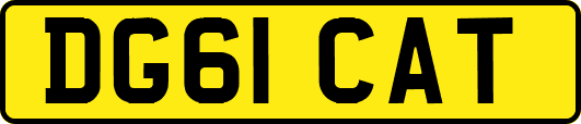 DG61CAT