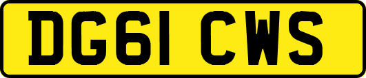 DG61CWS