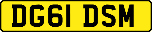 DG61DSM