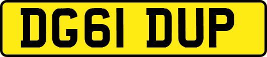 DG61DUP