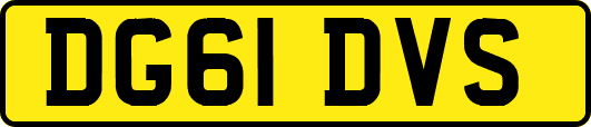 DG61DVS