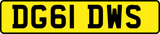 DG61DWS