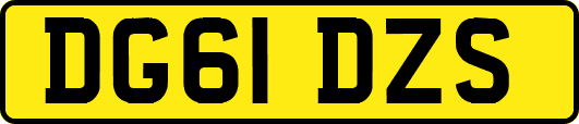 DG61DZS