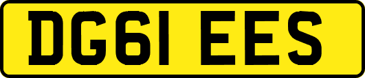 DG61EES