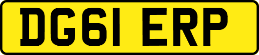 DG61ERP