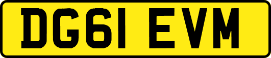 DG61EVM