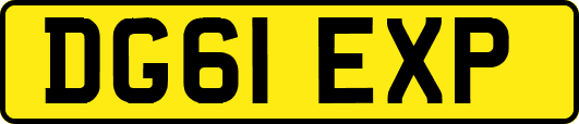DG61EXP