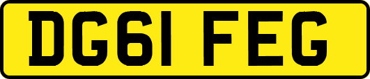 DG61FEG