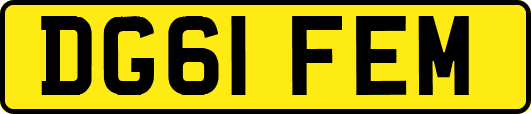 DG61FEM