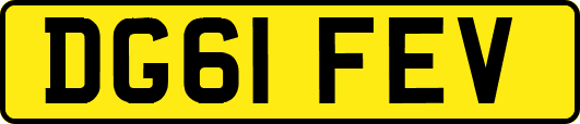 DG61FEV