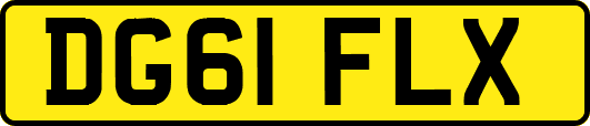 DG61FLX