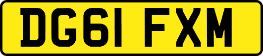 DG61FXM