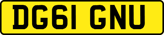 DG61GNU