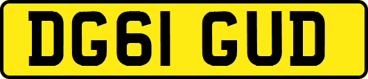 DG61GUD