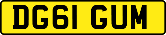 DG61GUM