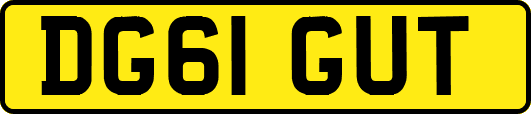 DG61GUT