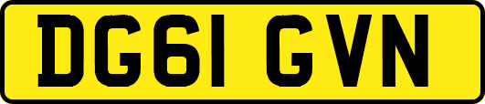 DG61GVN