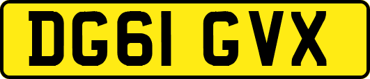 DG61GVX