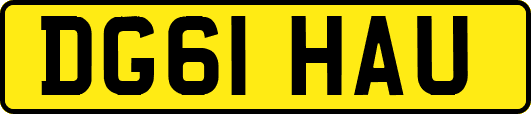 DG61HAU