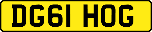 DG61HOG