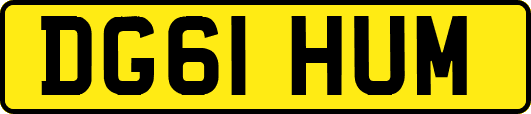 DG61HUM