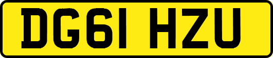 DG61HZU