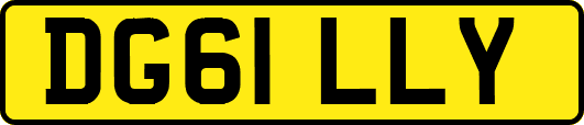 DG61LLY