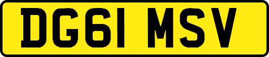 DG61MSV
