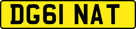 DG61NAT