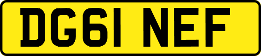 DG61NEF