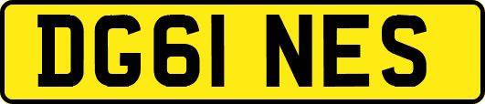 DG61NES