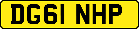 DG61NHP