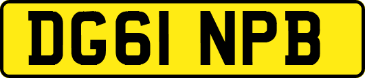 DG61NPB
