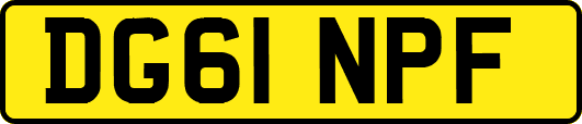 DG61NPF
