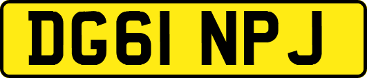 DG61NPJ