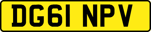 DG61NPV
