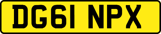 DG61NPX