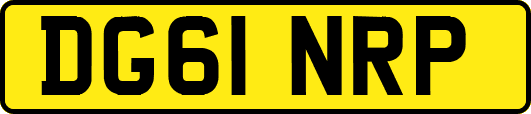 DG61NRP