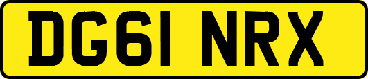 DG61NRX