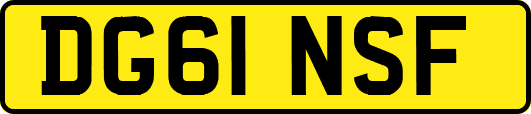 DG61NSF