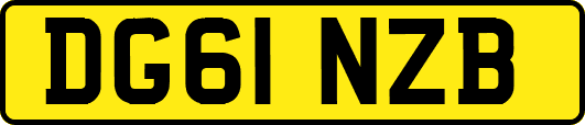 DG61NZB
