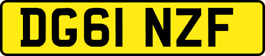 DG61NZF